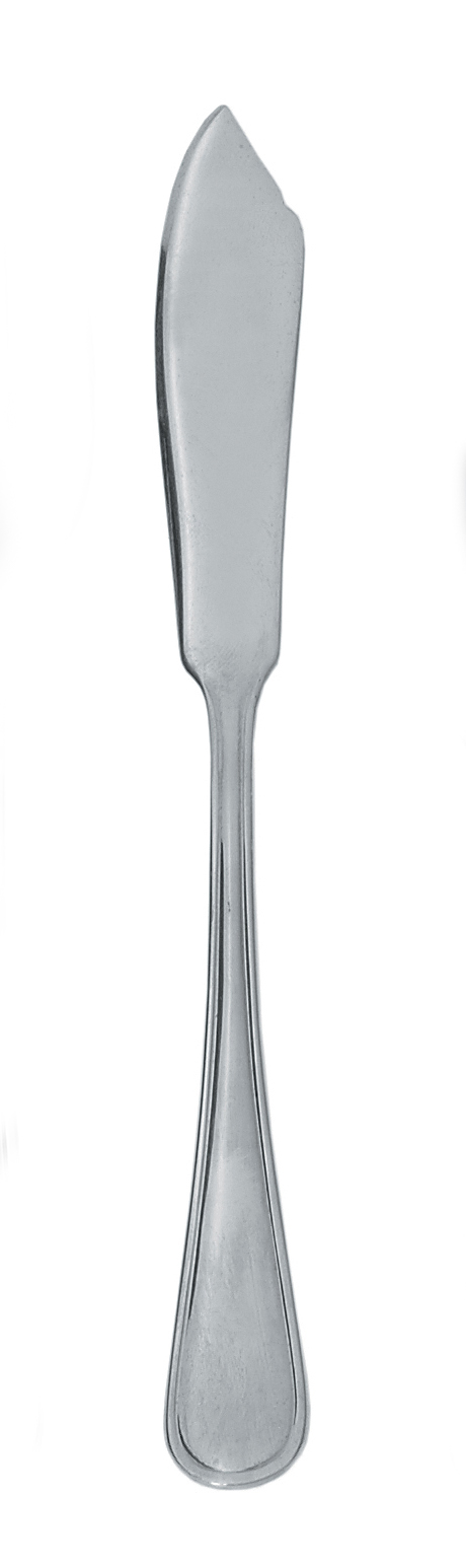 Fiskkniv 225 mm Opera, Exxent