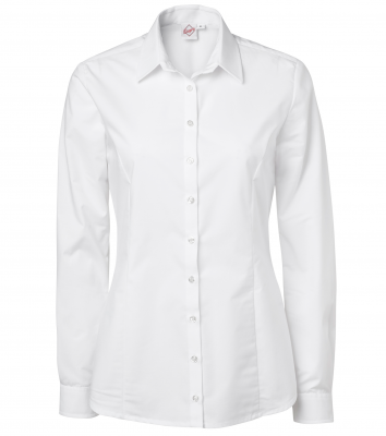 Damskjorta (Vit), Segers