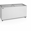 Glassfrys med 2 skjutlock, 555 L, Tefcold